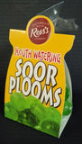 Soor Plooms